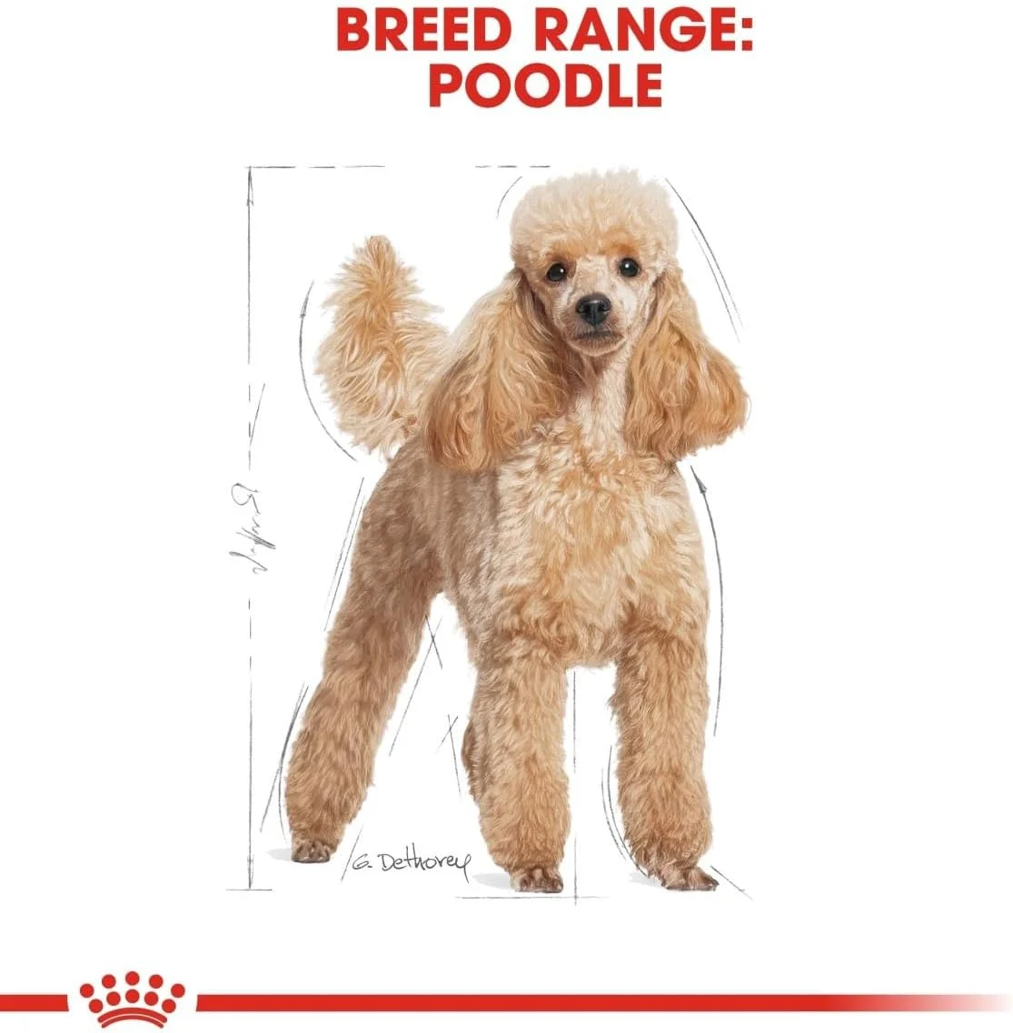 غذای مرطوب سگ بالغ نژاد پودل رویال کنین (Royal Canin Bhn Poodle Adult) بسته 12 عددی 85 گرمی