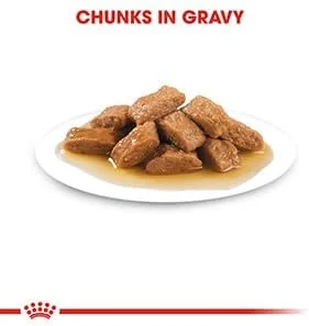 غذای مرطوب سگ بالغ نژاد متوسط رویال کنین - 140 گرم