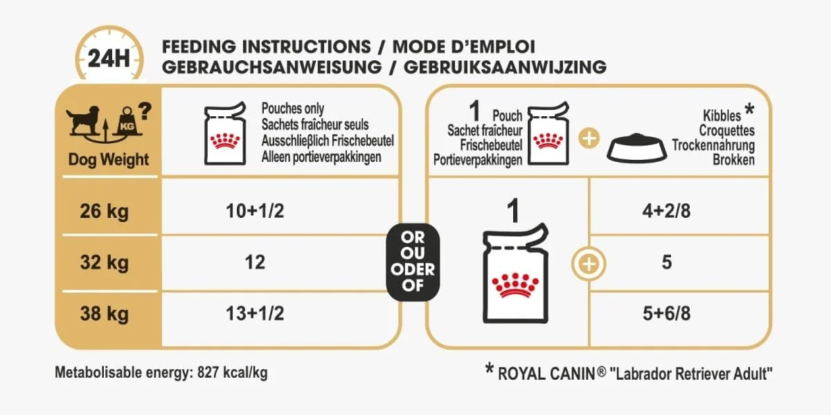 غذای مرطوب سگ بالغ نژاد لابرادور رویال کنین - 140 گرم