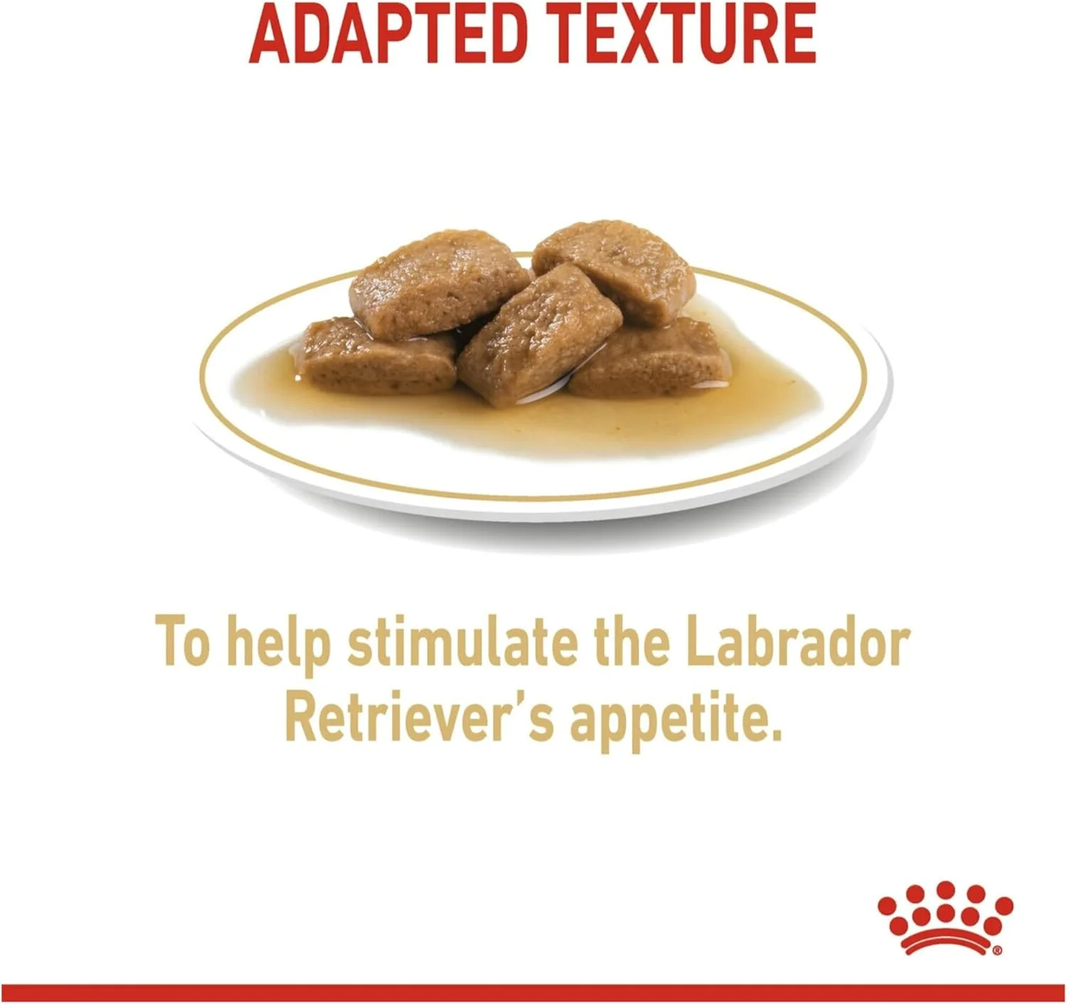 غذای مرطوب سگ بالغ نژاد لابرادور رتریور رویال کنین در سس گوشت ۱۴۰ گرمی