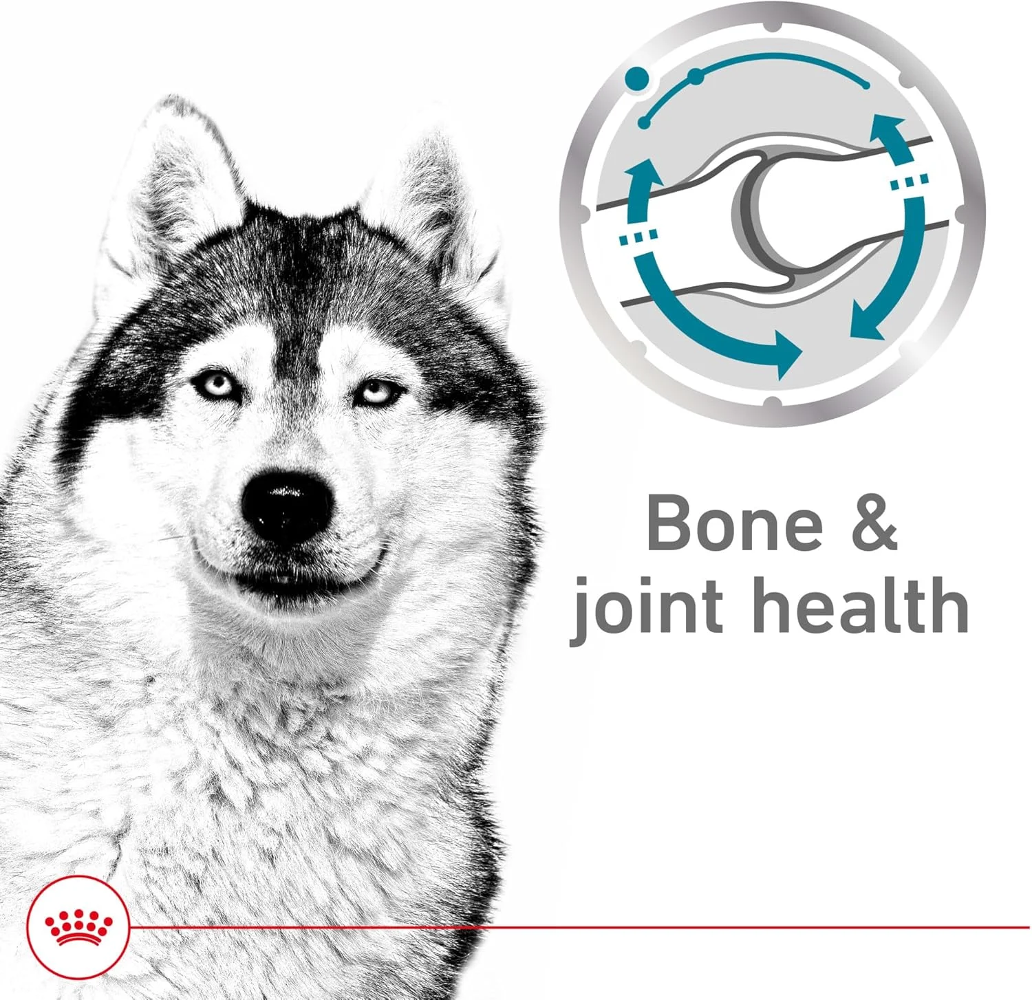 غذای مرطوب سگ رویال کنین مدل Large Joint Care Loaf in Sauce، قوطی 382 گرمی (12 عددی)