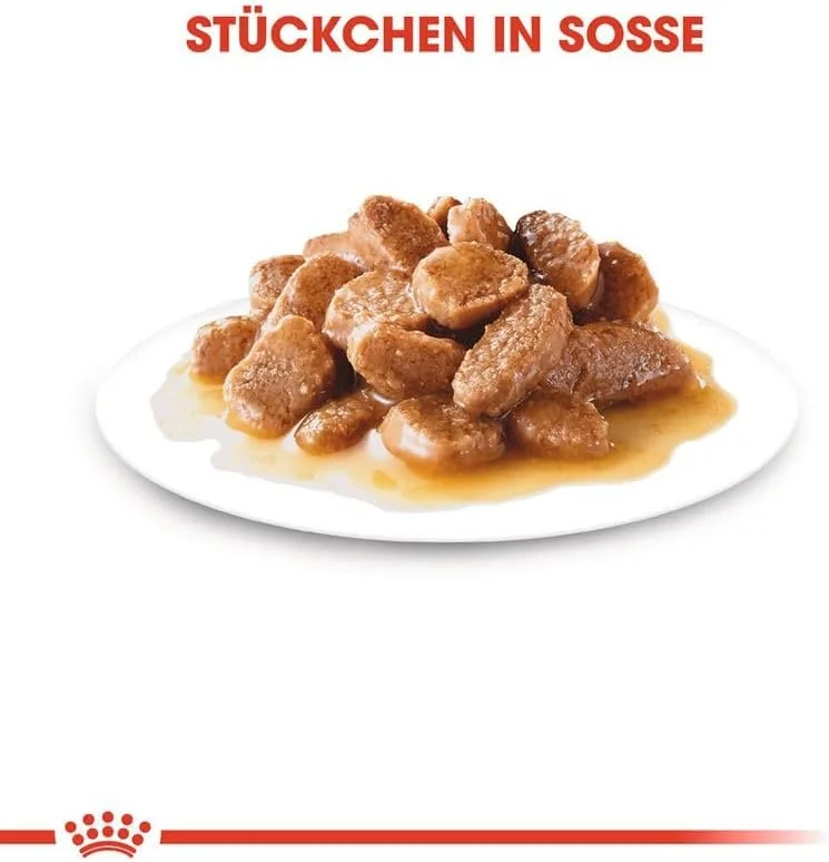 غذای مرطوب سگ مسن نژاد کوچک رویال کنین +12، 12 بسته 85 گرمی