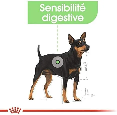 غذای مرطوب سگ رویال کنین CCN Digestive Care، بسته 12 عددی 85 گرمی، غذای سگ تغذیه مراقبتی