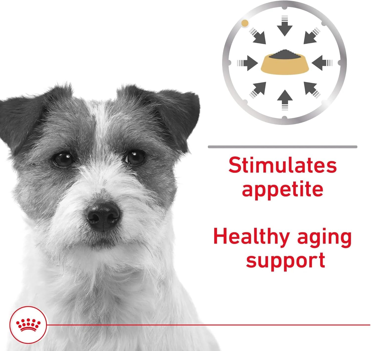 غذای سگ رویال کنین، تغذیه سالم سگ، غذای سگ بالغ بالای 8 سال با طعم گوشت در سس، 150 گرم (بسته 24 عددی)