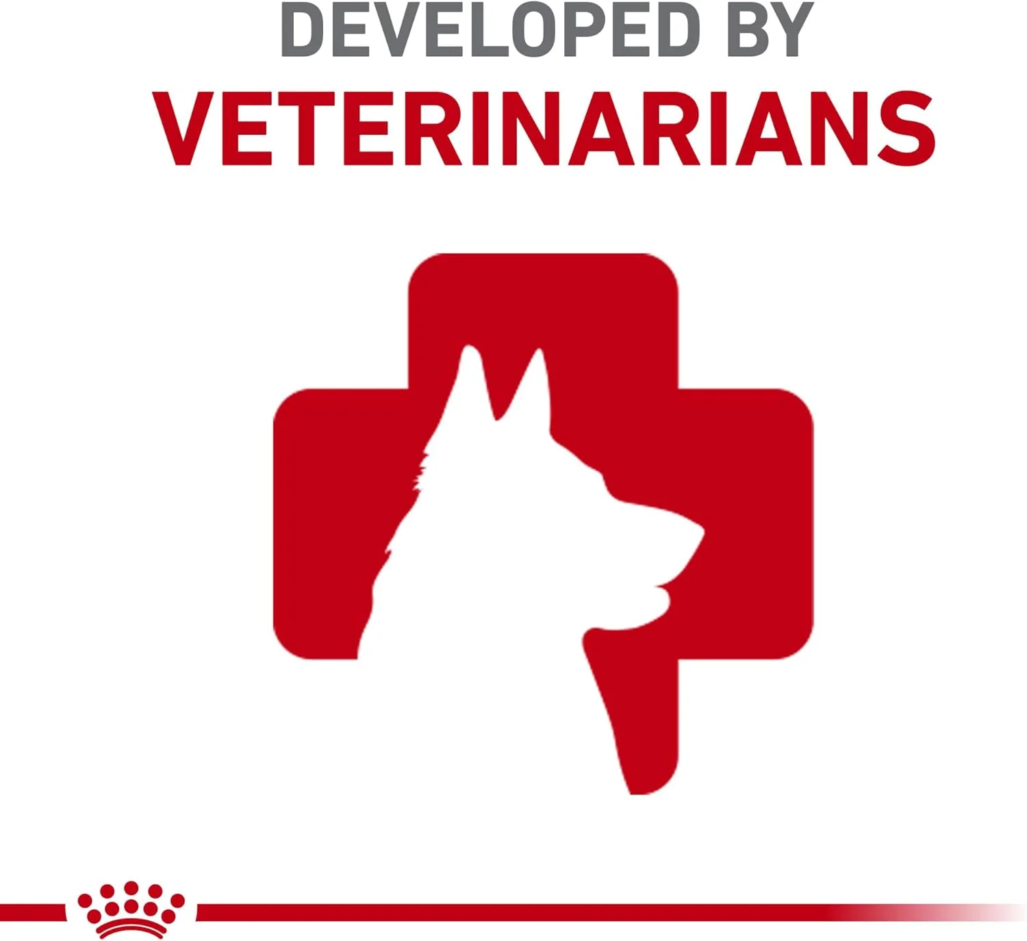 غذای سگ بالغ رویال کنین در ژل، کنسرو 382 گرمی (بسته 6 عددی)