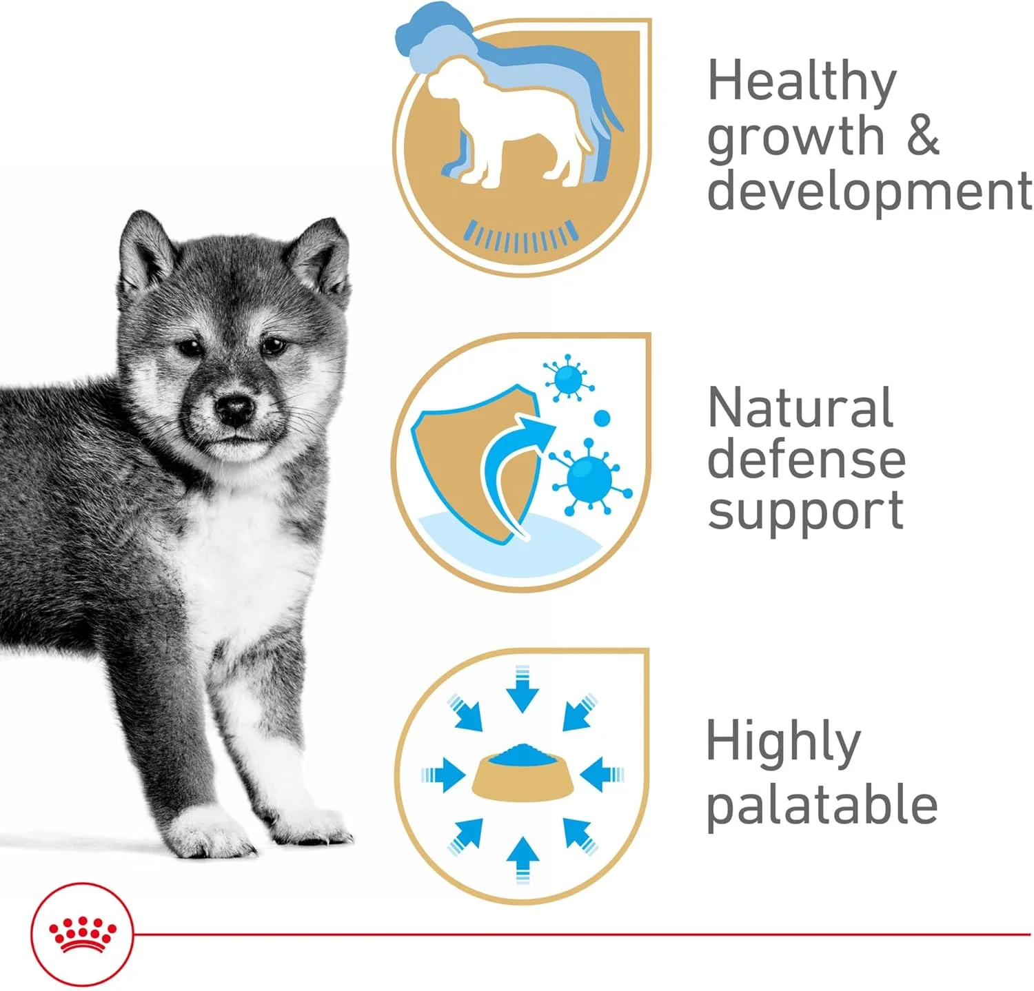 غذای کنسروی سگ رویال کنین، تغذیه سالم توله سگ، قوطی 382 گرمی (بسته 6 عددی)