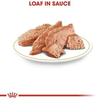 پوچ غذای مرطوب سگ بالغ نژاد چی‌واوا رویال کنین (12 عدد 85 گرمی)