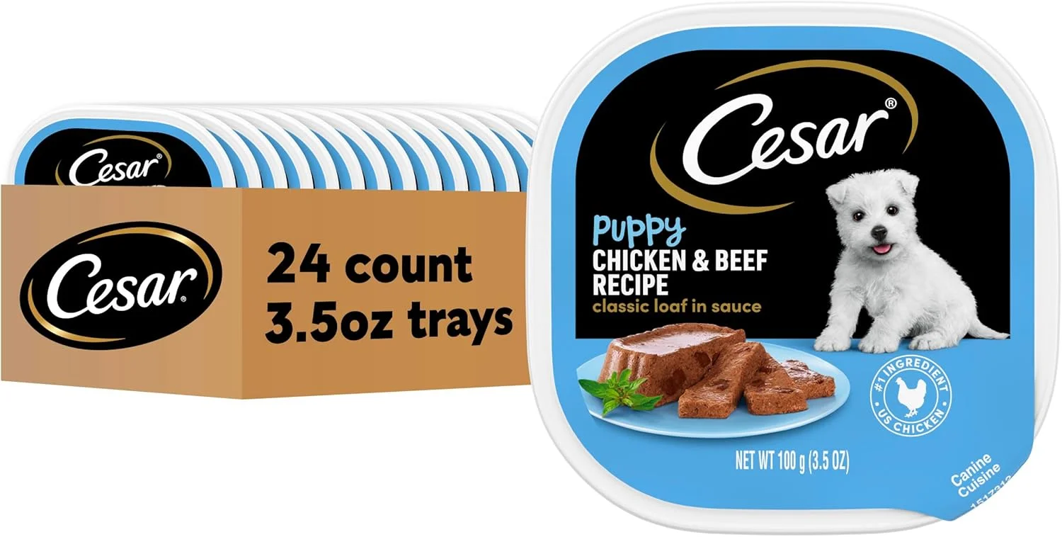 غذای سگ مرطوب نرم توله سگ سزار، طعم کلاسیک مرغ و گوشت گاو در سس، بسته 24 تایی با باز کردن آسان