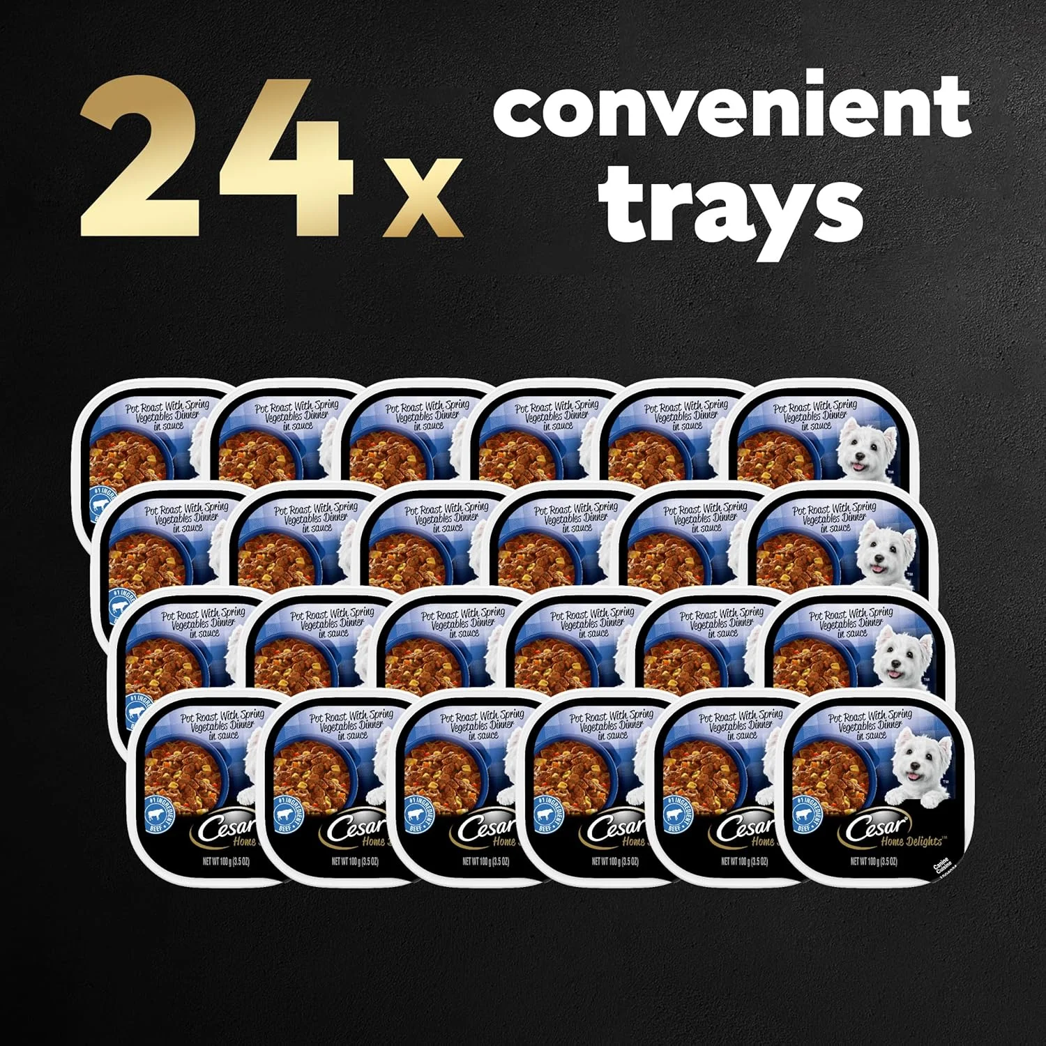 غذای سگ بالغ طعم خوراک گوشت با سبزیجات بهاری سزار هوم دیلایتس در سس، 100 گرم. بسته 24 عددی