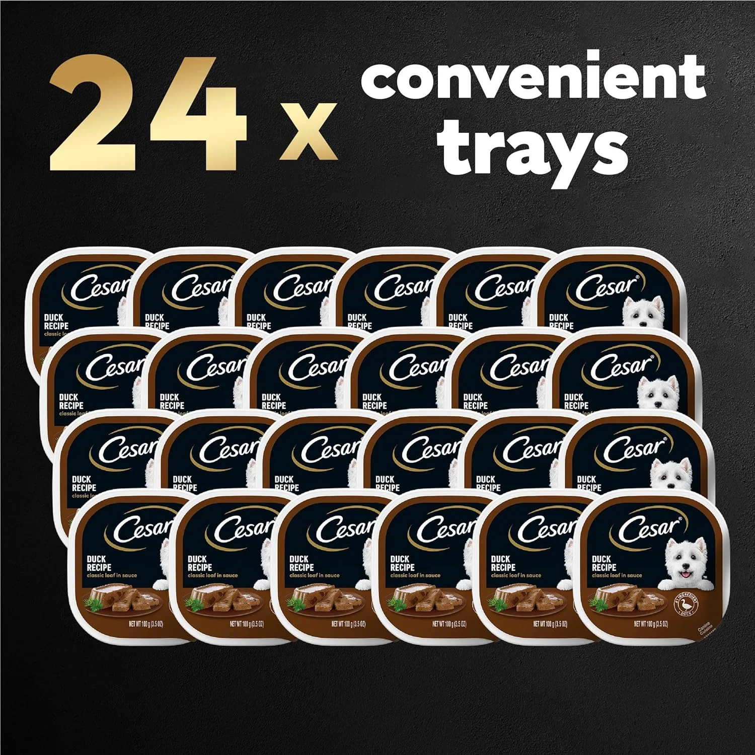 غذای مرطوب سگ طعم کلاسیک گوشت در سس سزار، بسته 24 عددی