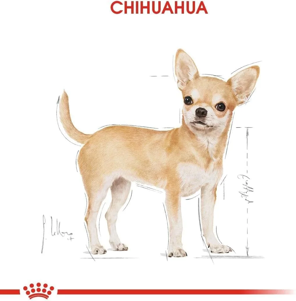 غذای مرطوب سگ بالغ رویال کنین نژاد چی‌واوا - 85 گرم