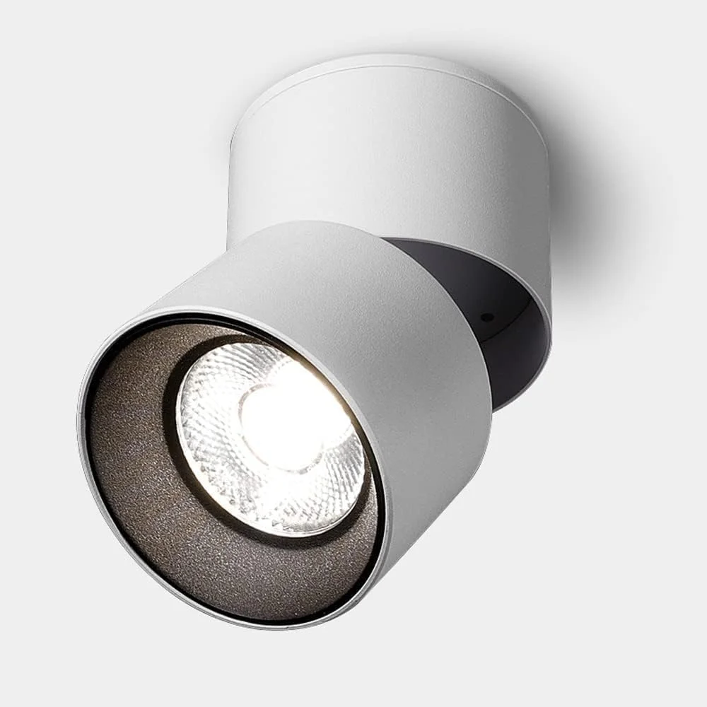 چراغ سقفی ZZZHS، نورافکن چرخشی قابل تنظیم 10 وات LED، چراغ پایین‌تاب استوانه‌ای آلومینیومی، زاویه تابش 24 درجه (رنگ: نور خنثی 4000k)