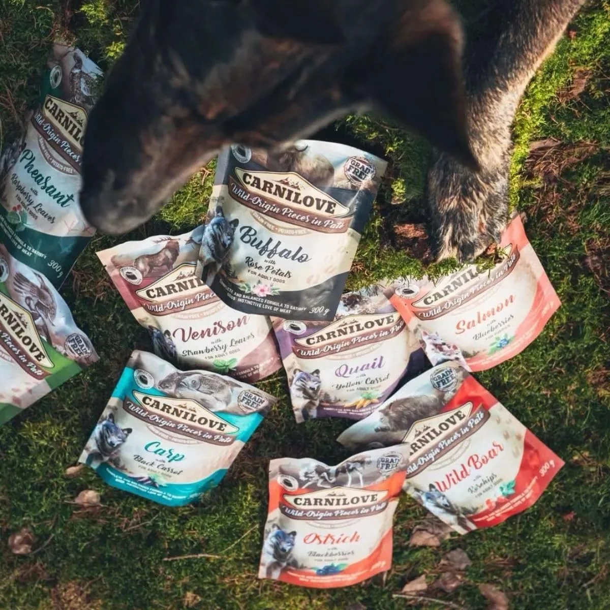 غذای مرطوب سگ بالغ کارنیلاو با طعم شترمرغ و شاه توت سیاه - 300 گرم