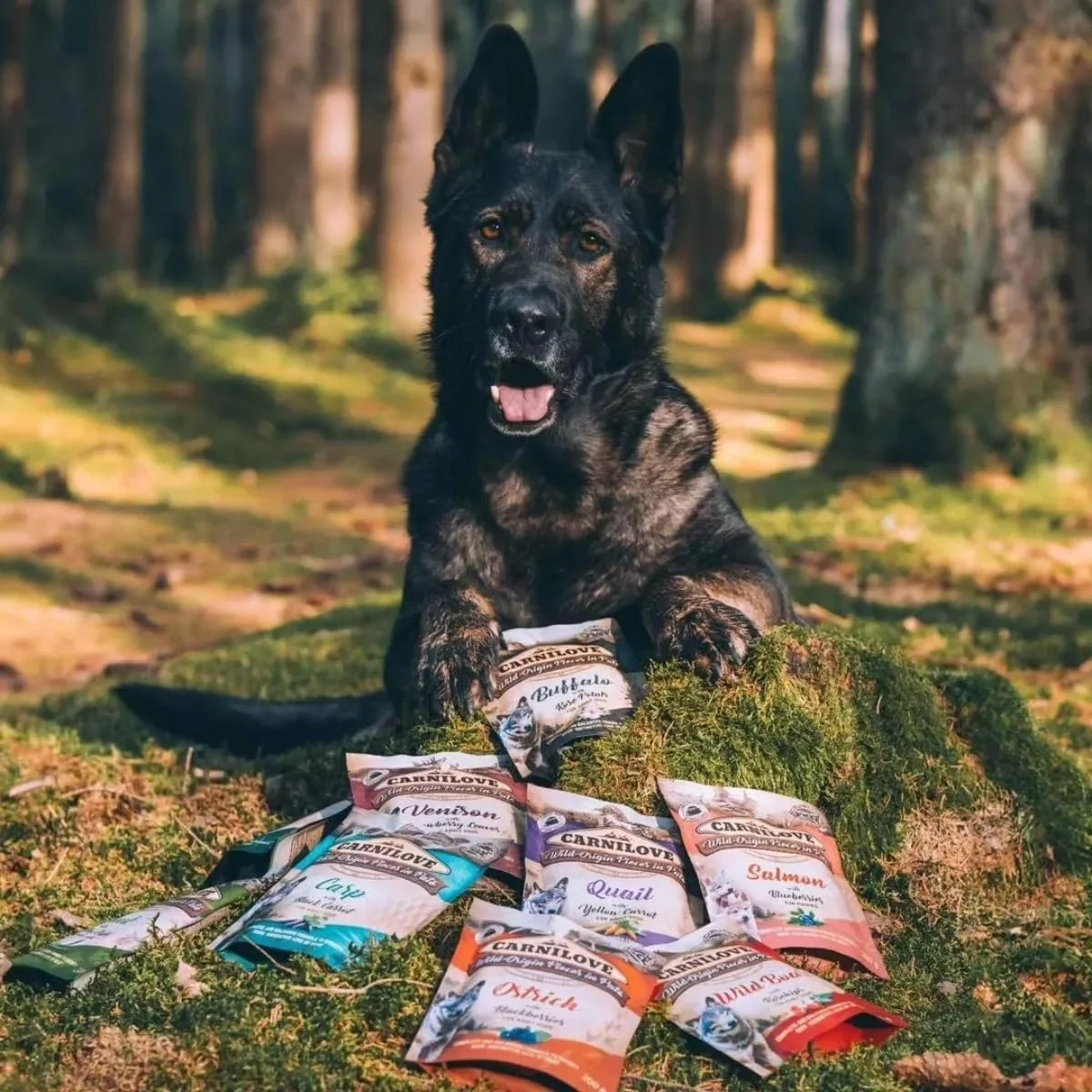 غذای مرطوب سگ بالغ کارنیلاو با طعم شترمرغ و شاه توت سیاه - 300 گرم