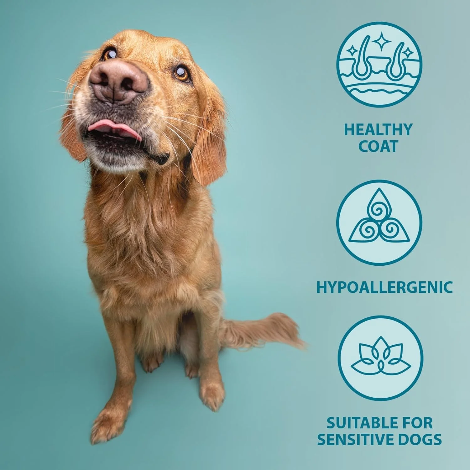 غذای مرطوب سگ برنز با ماهی وحشی، هویج و برنج قهوه ای 395 گرمی