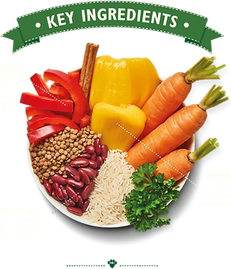 غذای مرطوب سگ بالغ لیلیز کیچن مدل بوریتو باول قدرتمند - 400 گرمی