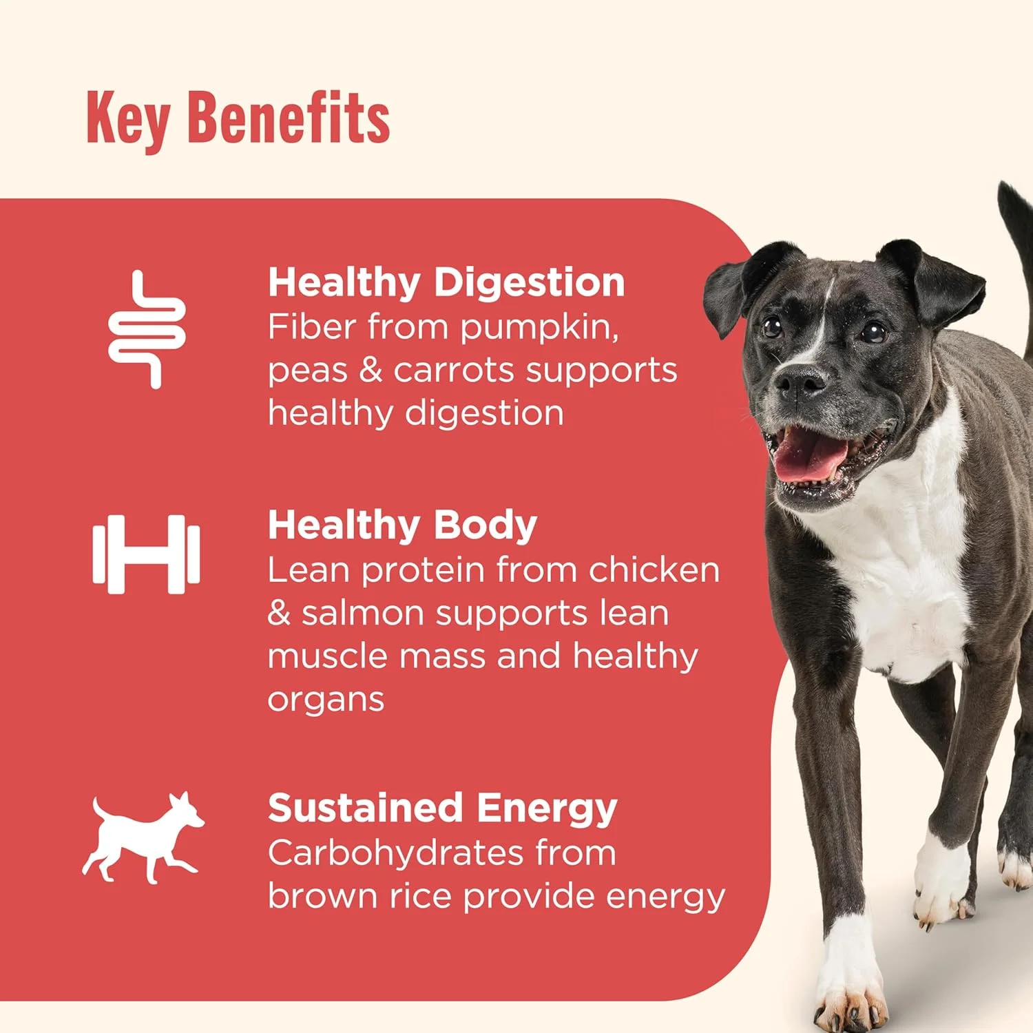 غذای مرطوب سگ با طعم مرغ، کدو تنبل و سالمون ریچل ری نوتریش برای هضم آسان، قوطی 368 گرمی