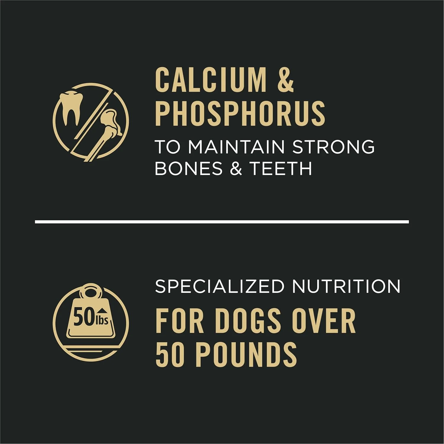 غذای مرطوب سگ بالغ پورینا پرو پلن، فکوس، نژاد بزرگ، طعم گوشت گاو و برنج