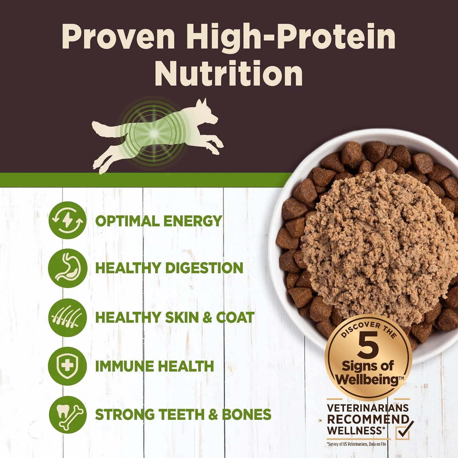 غذای مرطوب سگ بدون غلات با طعم بره Wellness CORE Digestive Health، قوطی 370 گرمی (بسته 12 عددی)