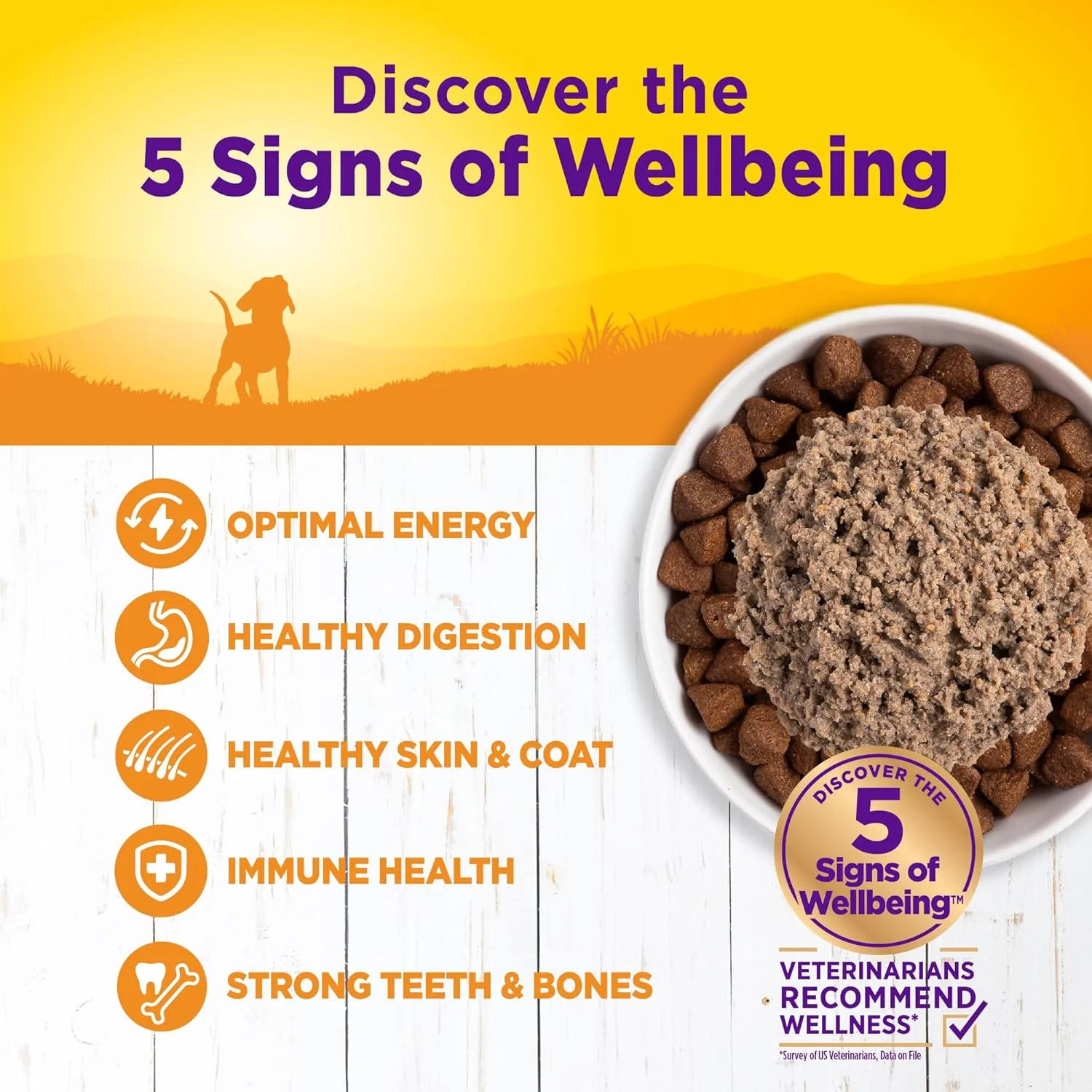 غذای کنسروی مرطوب سگ خانگی ولنس، طعم مرغ و ماهی سالمون، 354 گرمی (بسته 12 عددی)