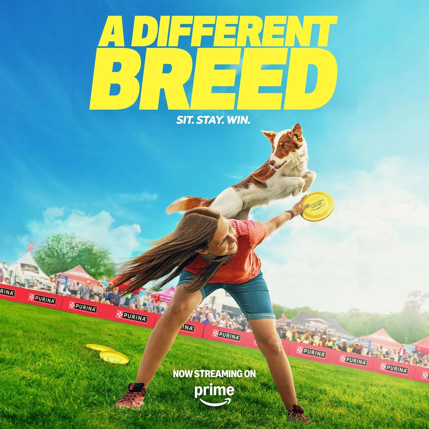 پک متنوع غذای مرطوب سگ با پروتئین بالا Purina Pro Plan Sport - (12) قوطی 13 اونسی