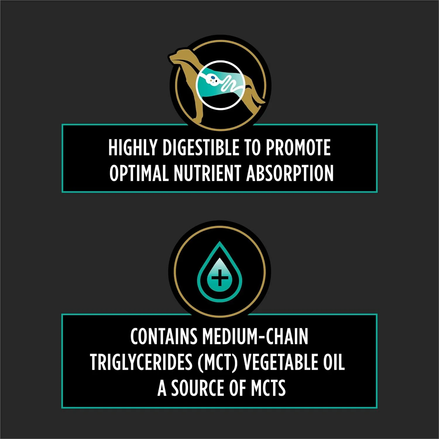 غذای رژیمی سگ پورینا وت دایتس مدل EN [۴۰۰ میلی لیتر] (گوارشی)