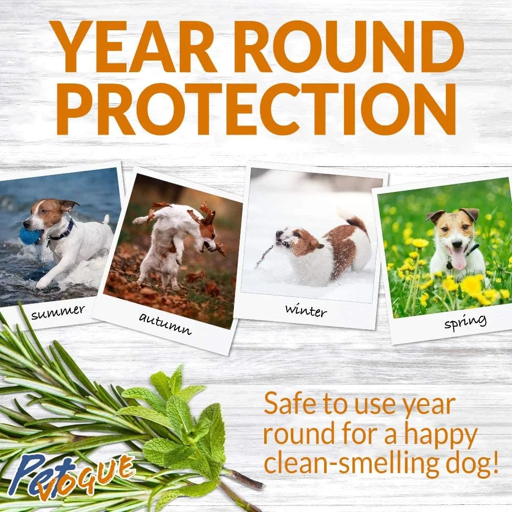 شامپو طبیعی پت وگ، ساخت هند - گیاهی - لوازم نظافت برای سگ ها، توله سگ ها و گربه ها