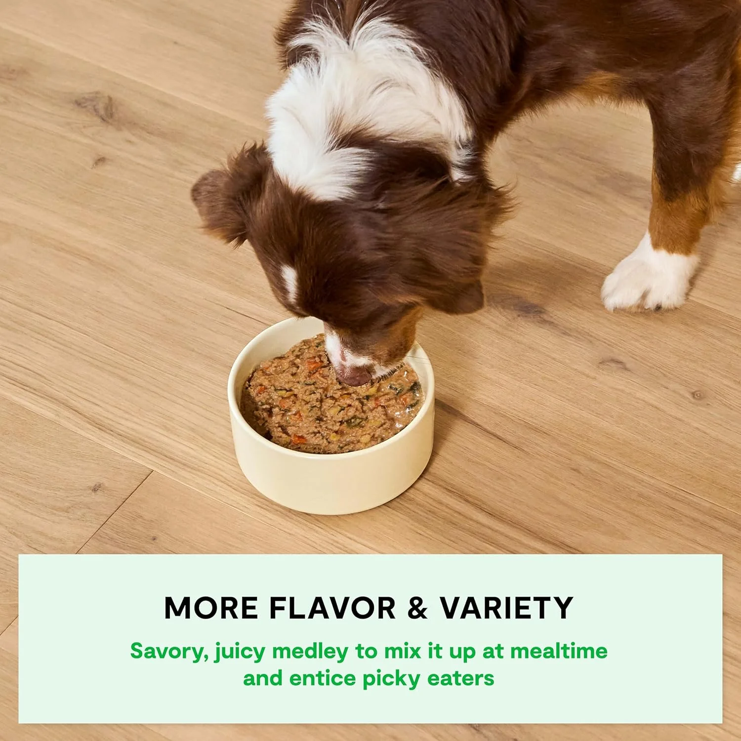 غذای مرطوب سگ اوپن فارم، خوراک آبکی روستایی، بدون غلات، کامل و متعادل با مواد اولیه با کیفیت انسانی، گوشت با پرورش انسانی و آب قلم، دستور پخت مرغ برداشت شده، بسته های 354 گرمی (بسته 12 عددی)