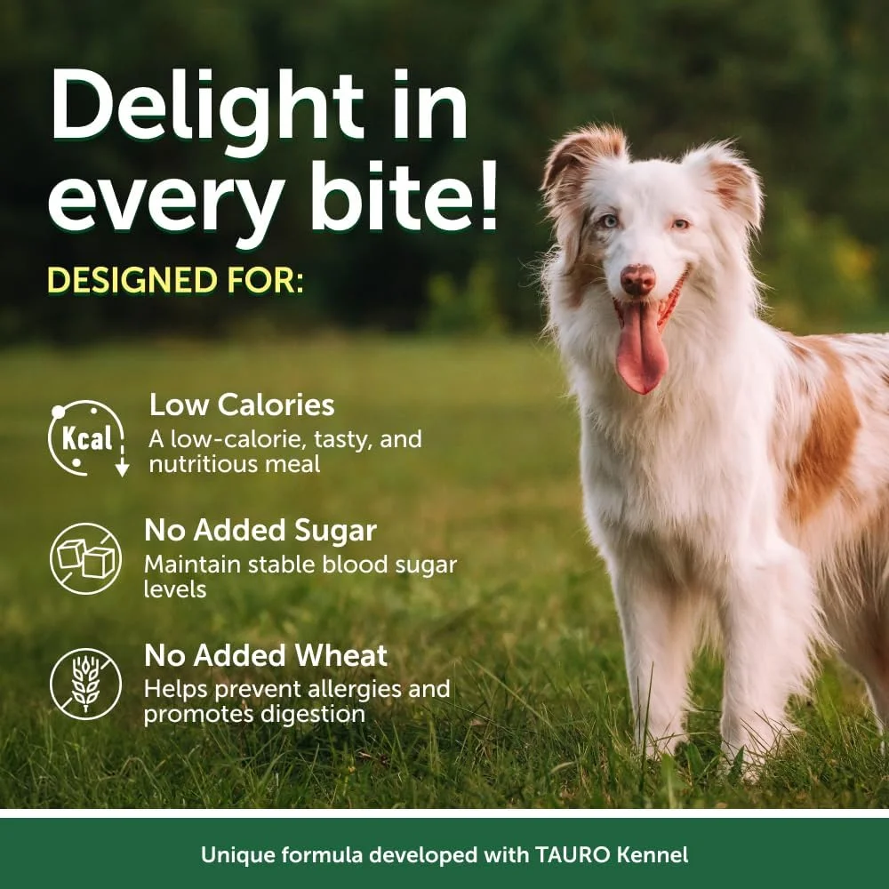 غذای مرطوب سگ نِیچرز پروتکشن سوپریور کِر - ماهی تن و سالمون، سرشار از پروتئین در آب گوشت، برای هضم حساس، پوست و موی سالم، مناسب برای همه نژادها، سگ های با خز سفید (24 بسته 70 گرمی)