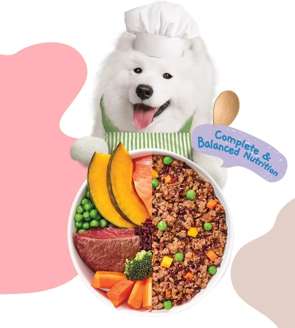 غذای سگ خانگی موچی - مناسب و قوی - طعم گوشت گاو، سالمون و رایسبری 225 گرم