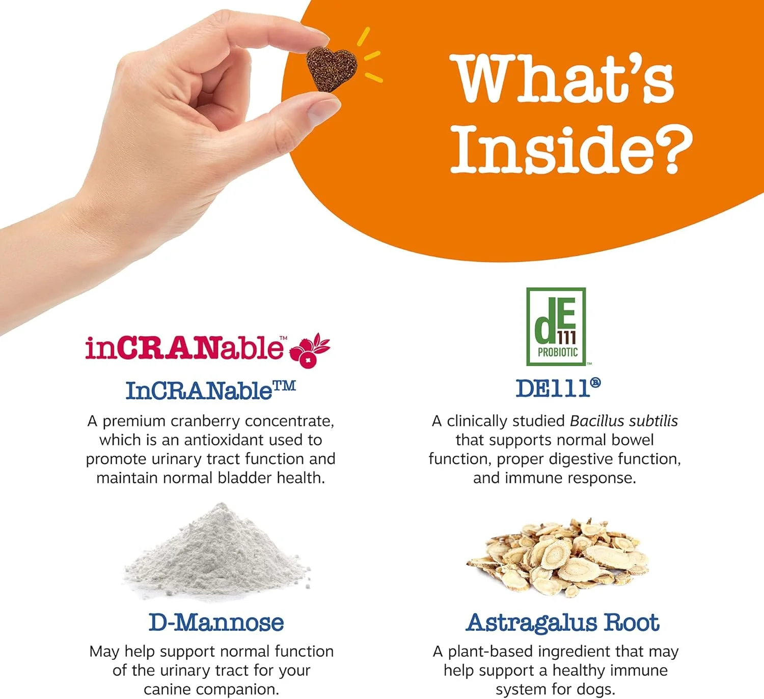 مکمل کرن‌بری سگ‌های مسن زستی پاوز - کنترل مثانه برای سگ‌های مسن - پشتیبانی از دستگاه ادراری - خوراکی‌های جویدنی کرن‌بری - پشتیبانی از سیستم ایمنی و روده - طعم مرغ - 90 عدد