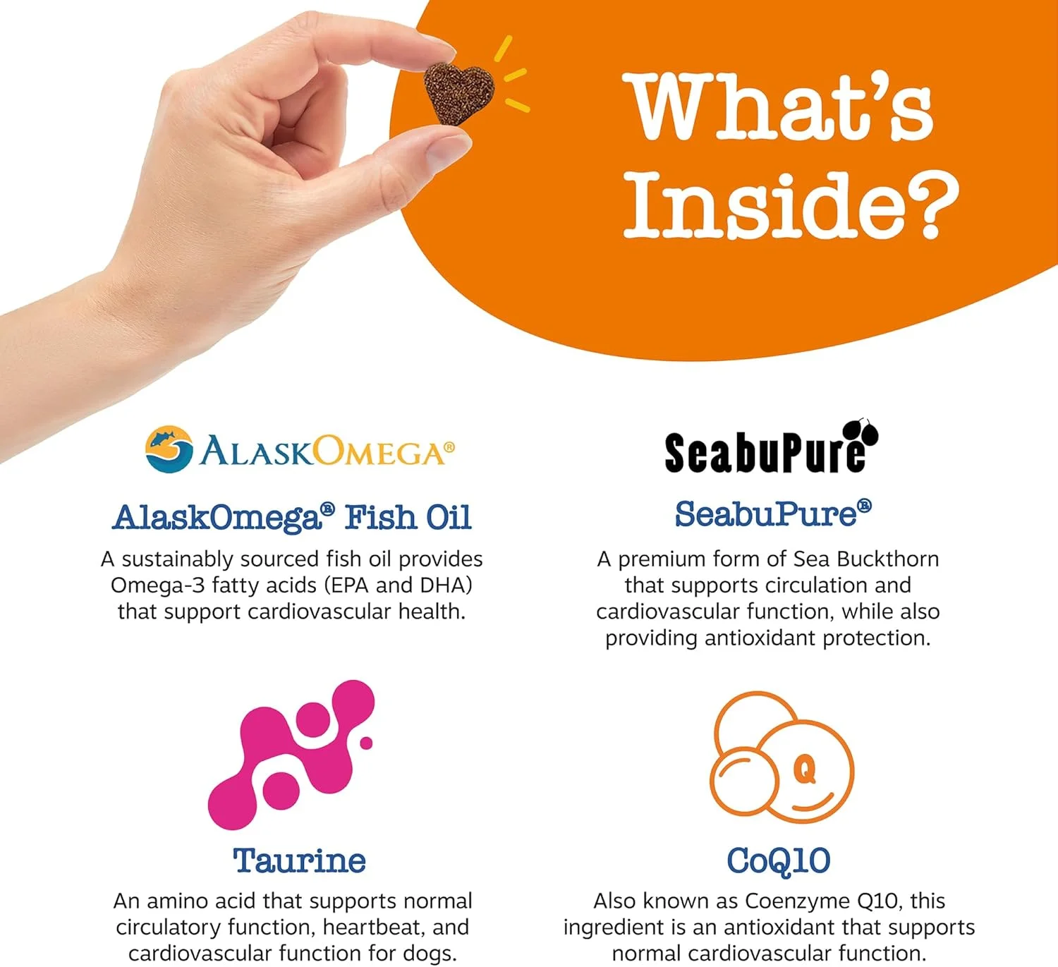 قرص قلب و عروق سگ زستی پاوز - تائورین برای سگ ها - حاوی کوآنزیم کیوتن، ال کارنیتین و سنجد دریایی - سلامت قلب سالمندان - روغن ماهی آلاسکا امگا 3 - مخصوص سالمندان - طعم سالمون - 90 عدد
