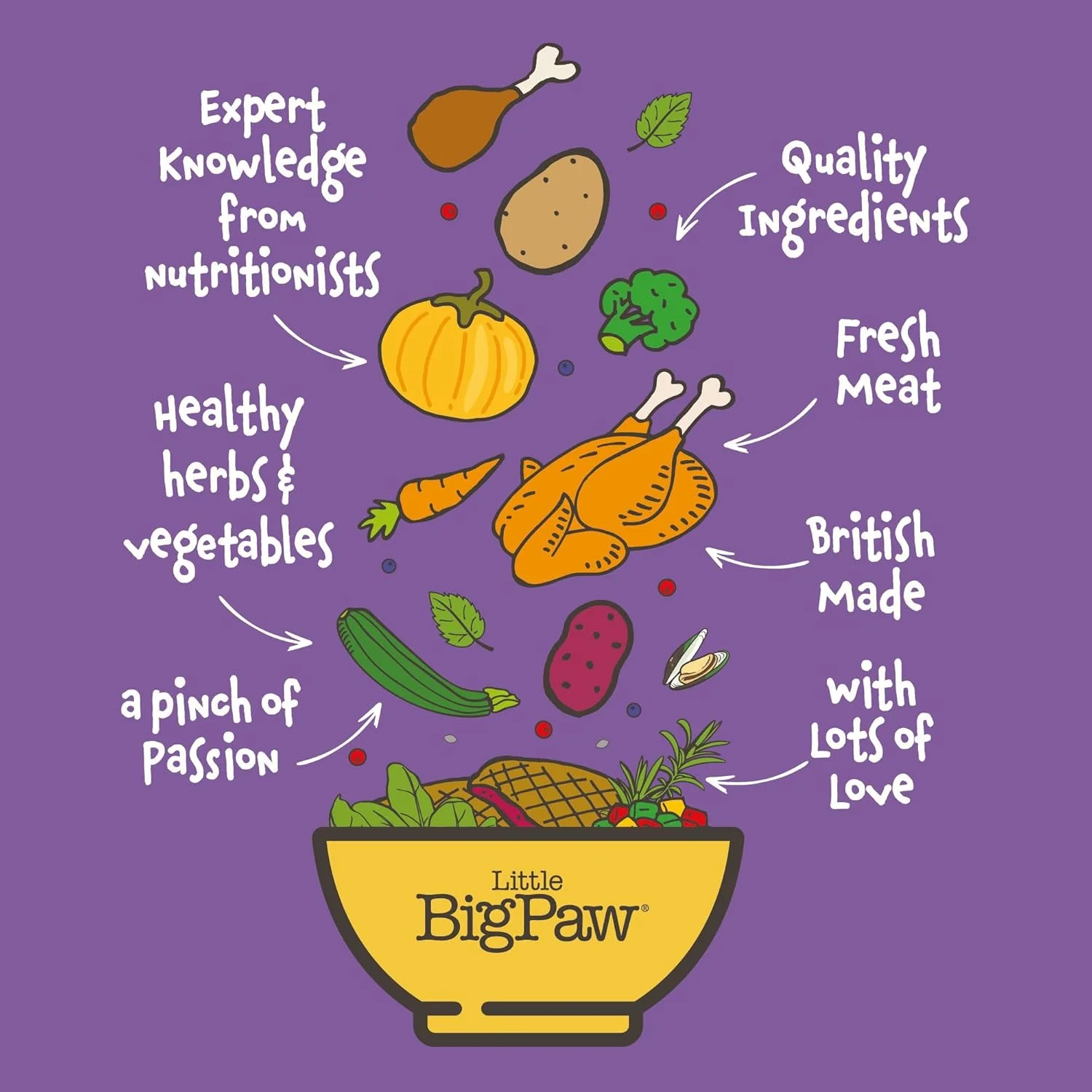 کنسرو غذای سگ با طعم اردک Little Big Paw، وزن 390 گرم