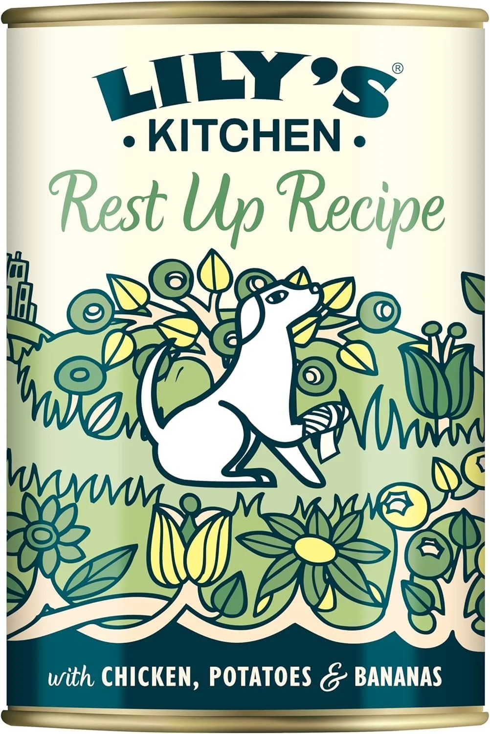 غذای مرطوب سگ ریکاوری لیلیز کیچن 6x400 گرم