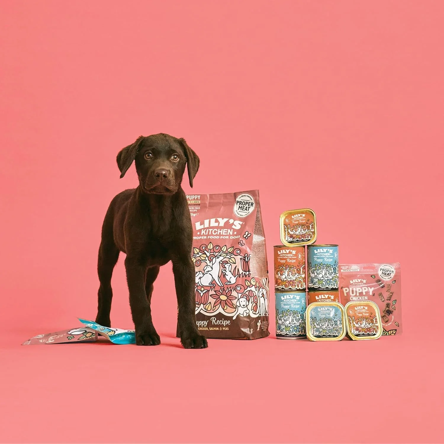 غذای مرطوب سگ توله ارگانیک لیلیز کیچن، 11 بسته 150 گرمی