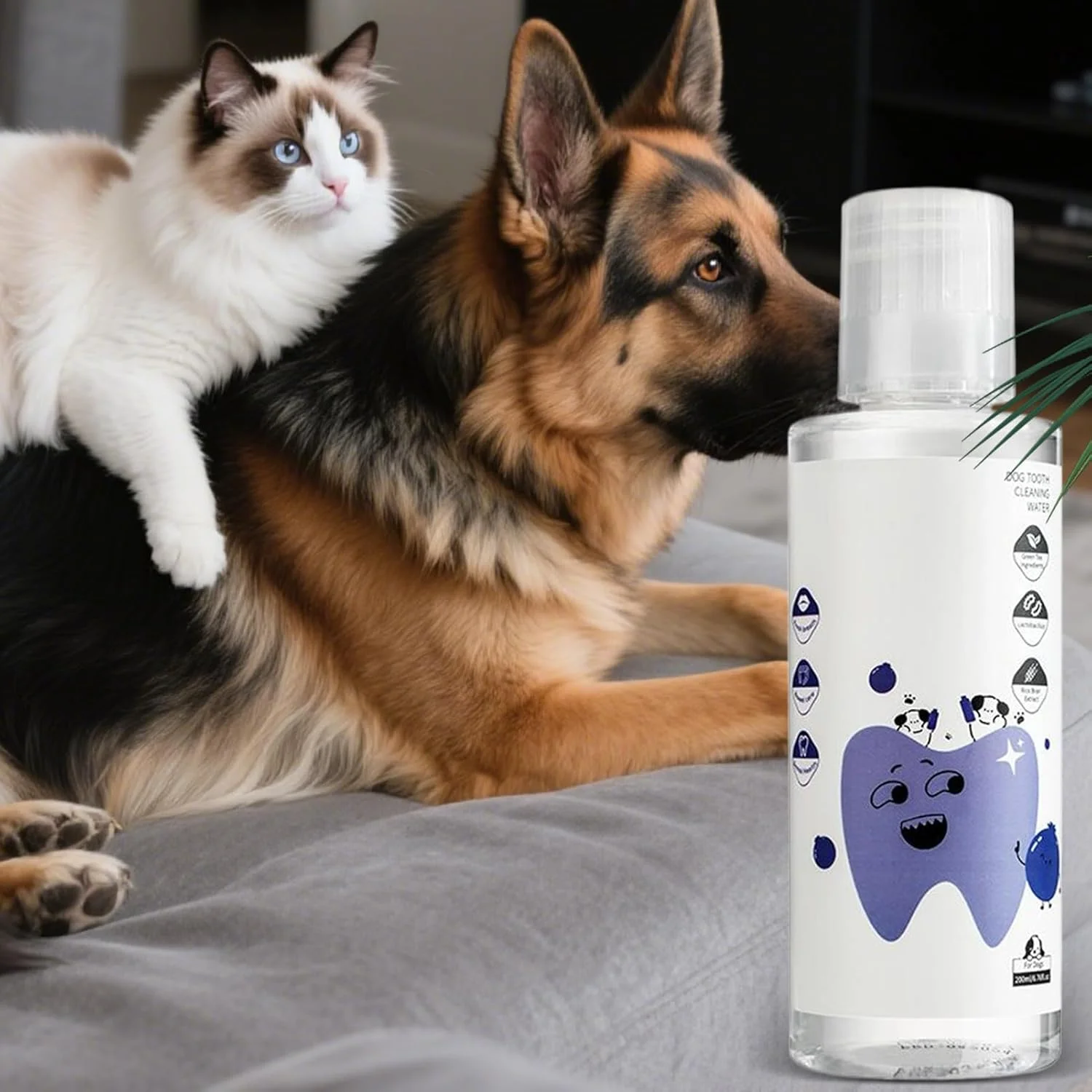 محلول افزودنی آب سگ، 200 میلی لیتر، طبیعی و سالم | محلول دهانشویه سگ، برای استفاده در منزل، مسافرت، مسواک زدن، نظافت، حمام کردن، شستشو و سلامت حیوان خانگی محلول افزودنی آب سگ، 200 میلی لیتر، طبیعی و سالم | محلول دهانشویه سگ، برای استفاده در منزل، مسافرت، مسواک زدن، نظافت، حمام کردن، شستشو و سلامت حیوان خانگی