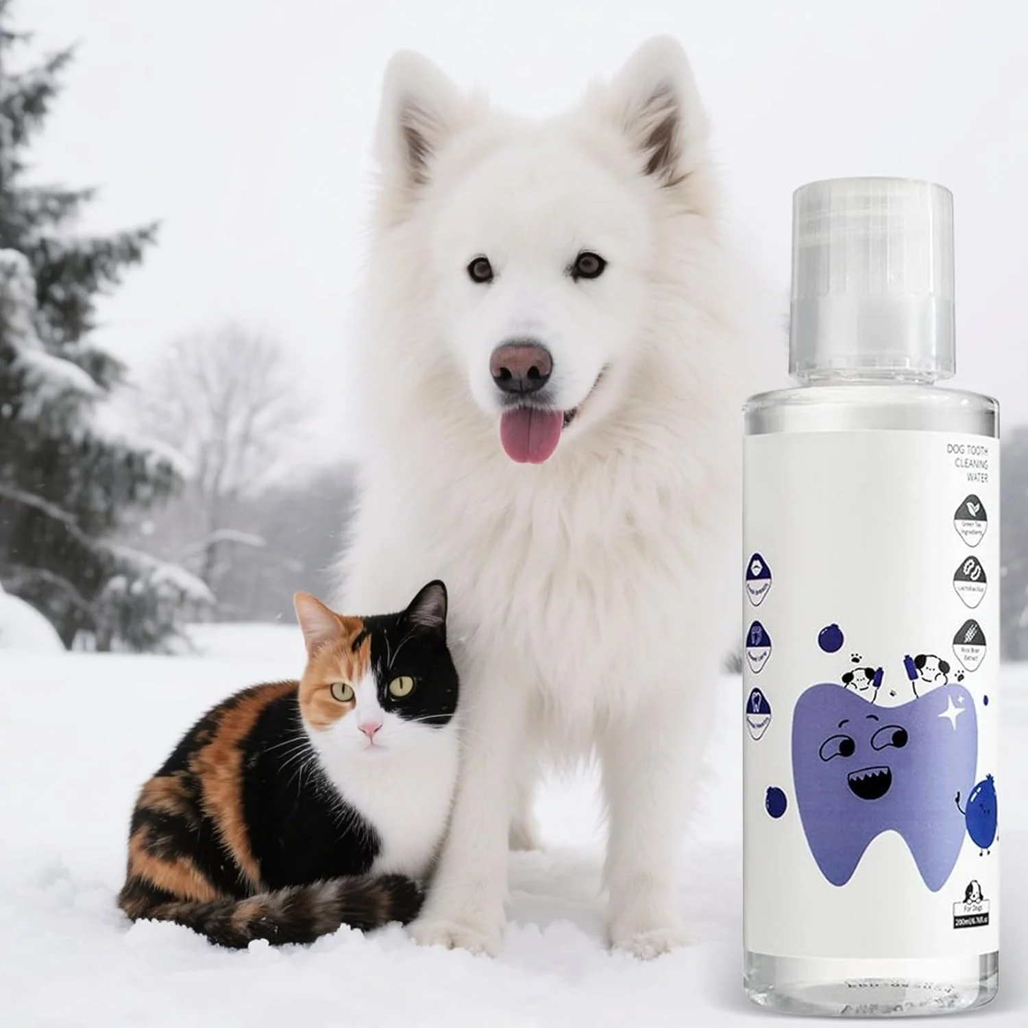 محلول افزودنی آب سگ، 200 میلی لیتر، طبیعی و سالم | محلول دهانشویه سگ، برای استفاده در منزل، مسافرت، مسواک زدن، نظافت، حمام کردن، شستشو و سلامت حیوان خانگی محلول افزودنی آب سگ، 200 میلی لیتر، طبیعی و سالم | محلول دهانشویه سگ، برای استفاده در منزل، مسافرت، مسواک زدن، نظافت، حمام کردن، شستشو و سلامت حیوان خانگی