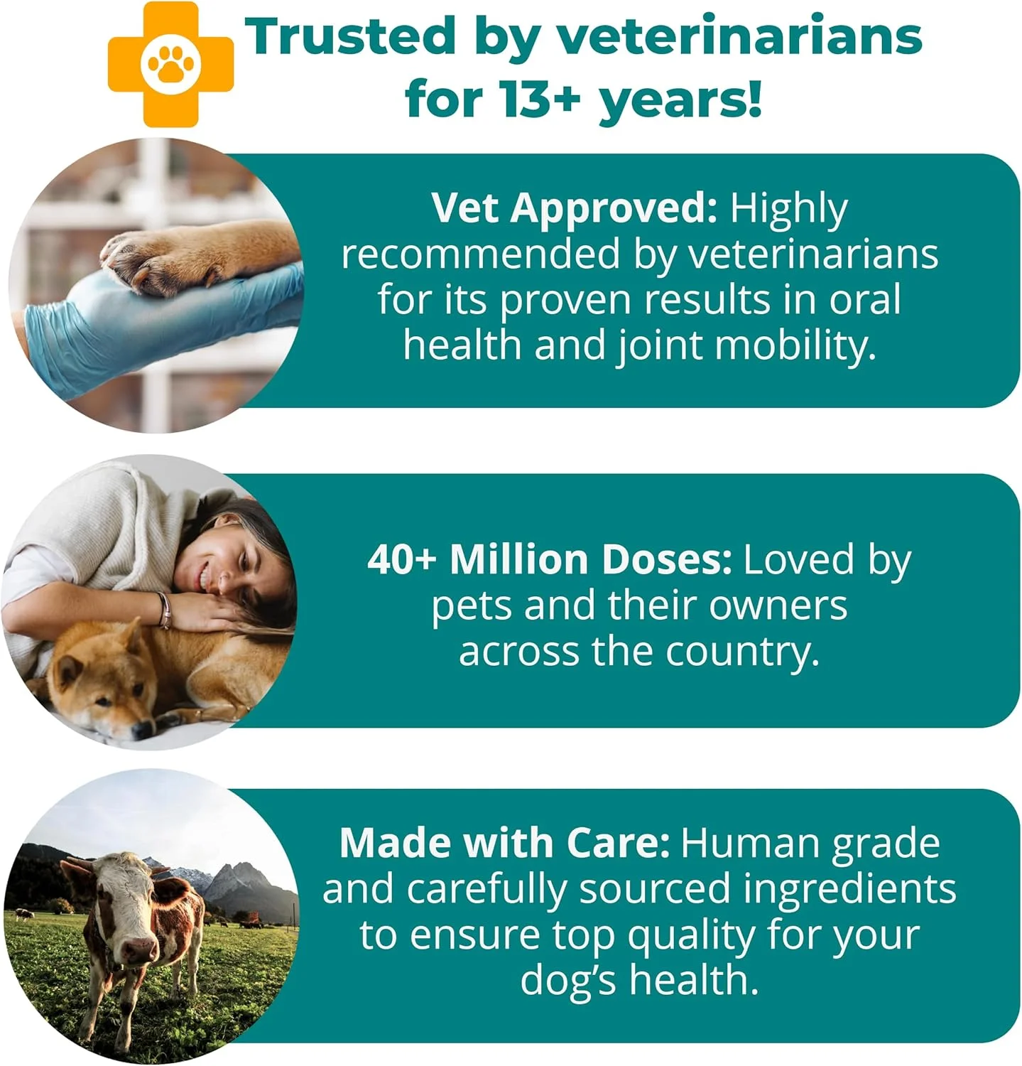 60 سافت ژل پیچشی 1-TDC برای سگ ها