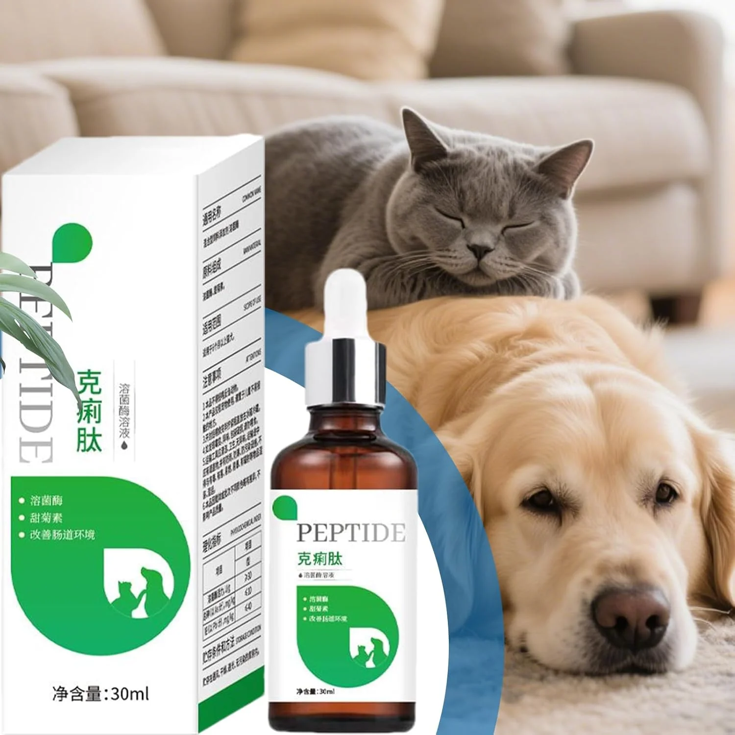 مکمل های گوارش سگ | قطره های 30 میلی لیتری سلامت روده بچه گربه | مکمل های طبیعی سلامت روده برای سگ، گربه، توله سگ، روال روزانه حیوانات خانگی، پرورش دهندگان، مسافران، بازدیدکنندگان کلینیک خانگی