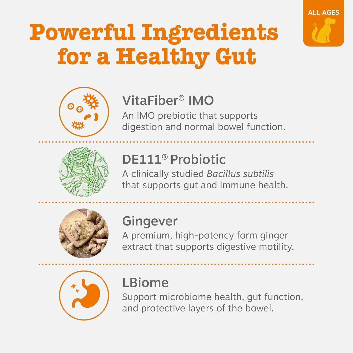 پاستیل های پروبیوتیک سگی Zesty Paws - آنزیم های گوارشی برای فلور روده، سلامت دستگاه گوارش، اسهال و حمایت از روده - DE111 مورد مطالعه بالینی - مکمل نرم سگ برای سیستم ایمنی حیوانات خانگی - VS - 90 عدد