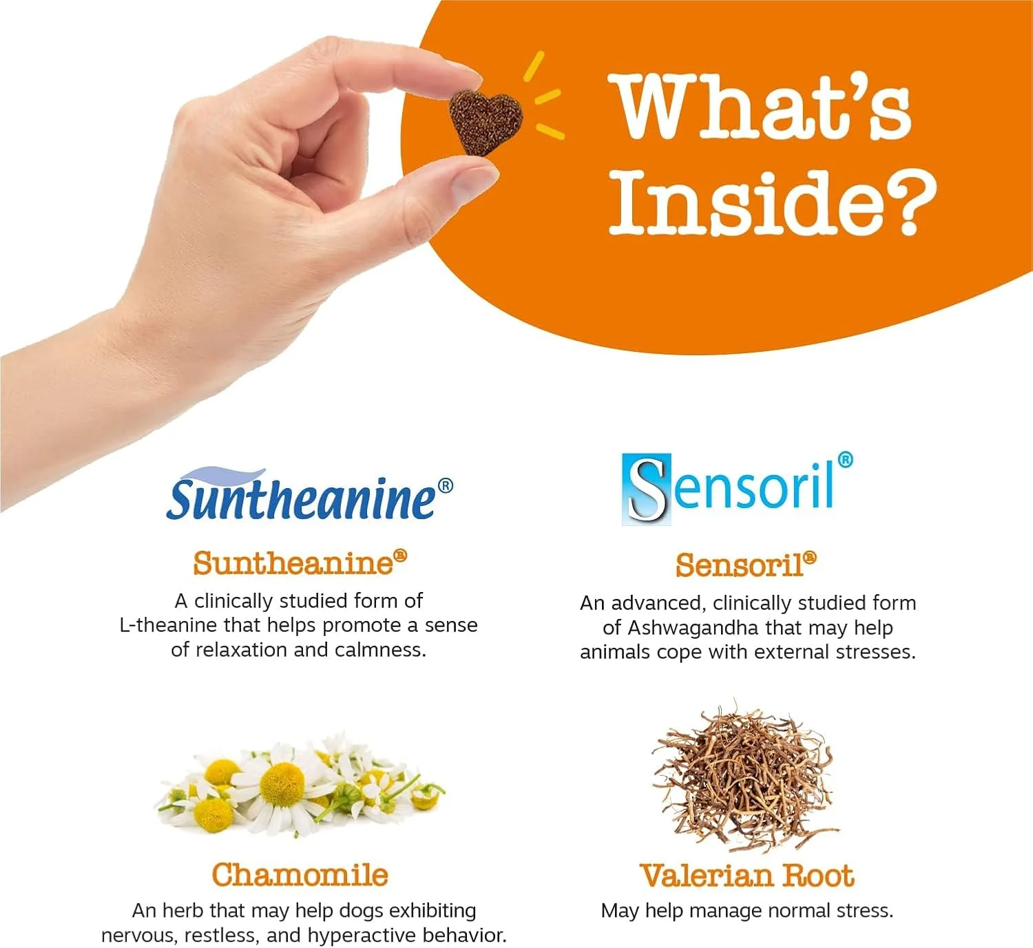 تشویقی آرام‌بخش سگ زستی پاوز، آرامش و آسودگی برای استرس روزمره و جدایی، طعم کره بادام زمینی، 90 عدد