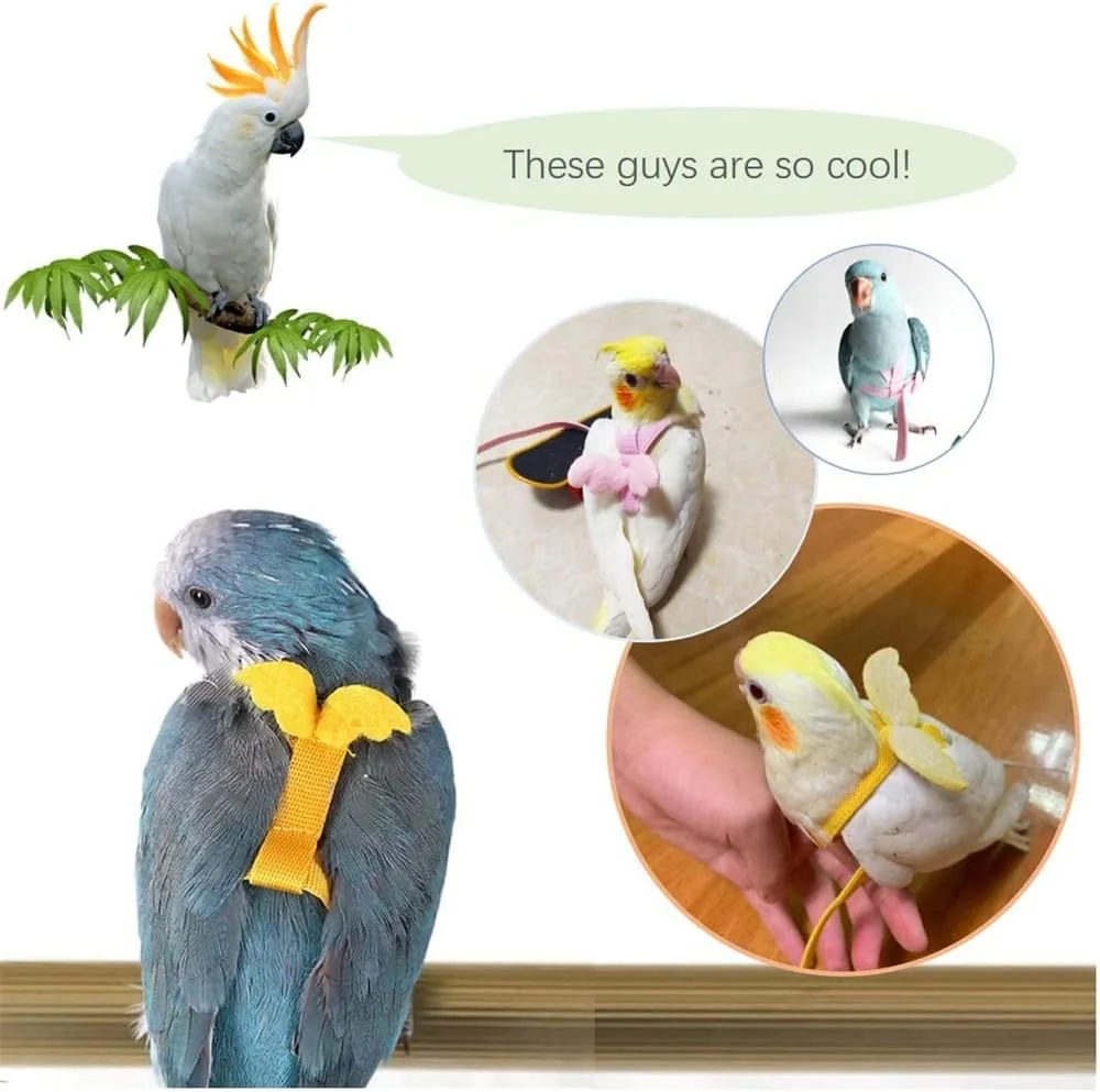 بند آموزش پرواز قابل تنظیم KASTWAVE - بند پرواز بادوام طوطی برای استفاده در فضای باز، مناسب برای عروس هلندی، مرغ عشق، لوری، 1 عدد، صورتی