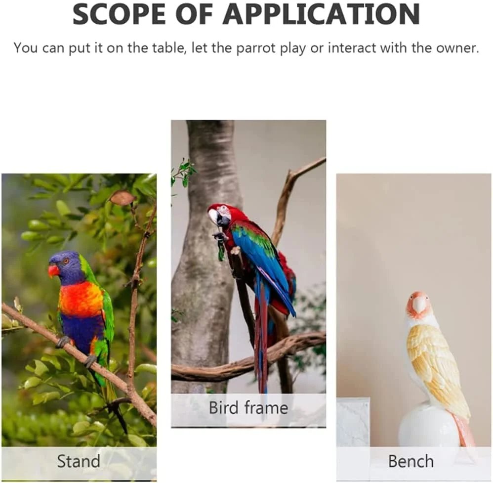پایه بازی پرنده چند منظوره، زمین بازی قفس طوطی، باشگاه ورزشی، پایه تمرینی، با نردبان، فنجان غذاخوری، تاب، اسباب بازی های چوبی برای نژادهای کوچک