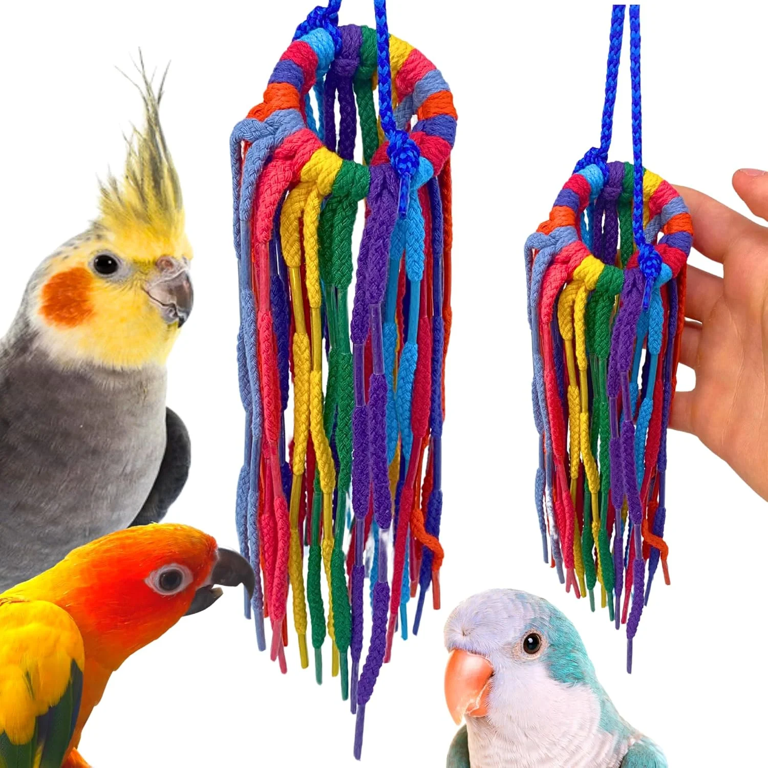 اسباب بازی پرنده بهشتی اَگلِت کوچک Bonka Bird Toys 51214