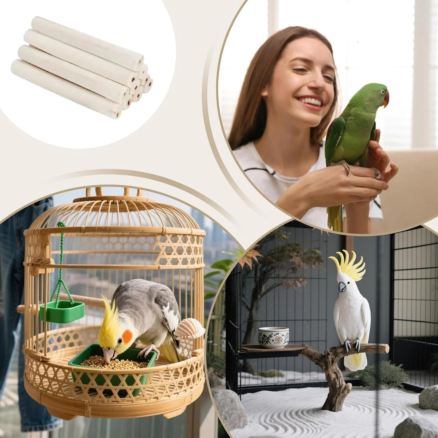 اسباب بازی های جویدنی طوطی، چوب گاز گرفتن هسته علفی لاک پشت | چوب جویدنی هسته علفی تعاملی پرنده برای کاکادو، عروس هلندی، طوطی، کانور، قفس، باغ، ایوان