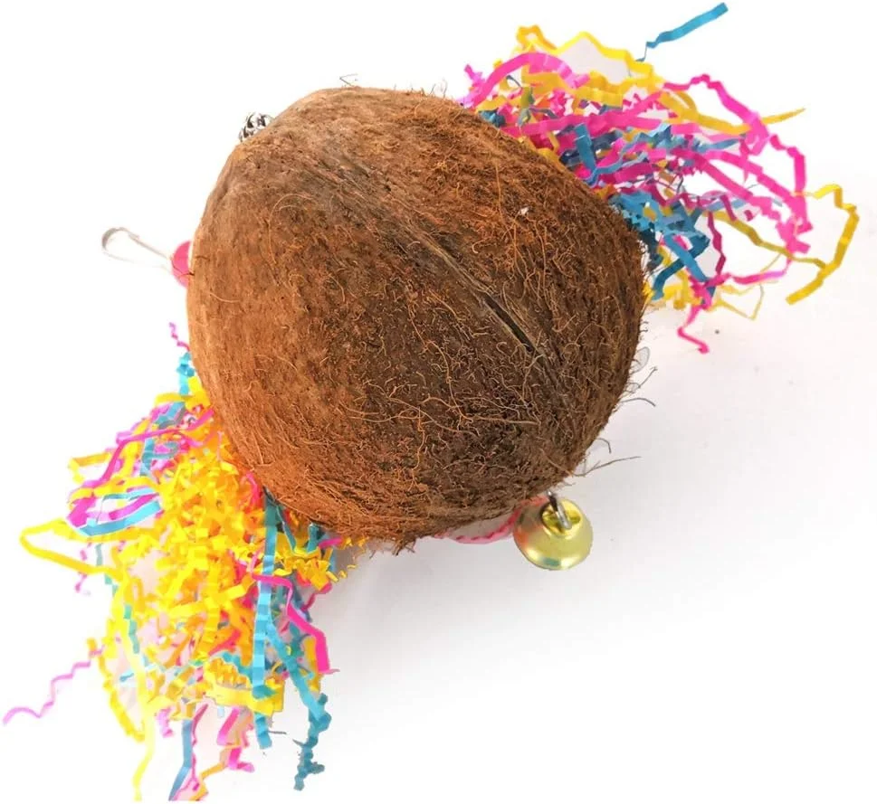 Meiyya Purchase Coconut Shell Climbing Bird Toy, Bird Toy, Biting Ball Accessories Parrots Pets Animals for Birds Meiyya Purchase Coconut Shell Climbing Bird Toy, Bird Toy, Biting Ball Accessories Parrots Pets Animals for Birds