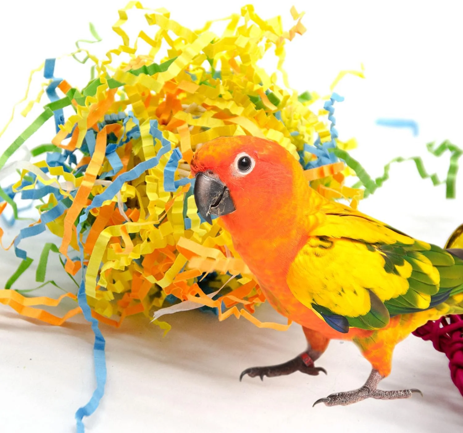 میش 4 بسته اسباب بازی پرنده کاغذ خرد شده رنگارنگ اسباب بازی تغذیه منقار پا لانه سازی قطعات صنایع دستی چند منظوره طبیعی اسباب بازی جویدنی پرنده برای طوطی و مرغ عشق میش 4 بسته اسباب بازی پرنده کاغذ خرد شده رنگارنگ اسباب بازی تغذیه منقار پا لانه سازی قطعات صنایع دستی چند منظوره طبیعی اسباب بازی جویدنی پرنده برای طوطی و مرغ عشق