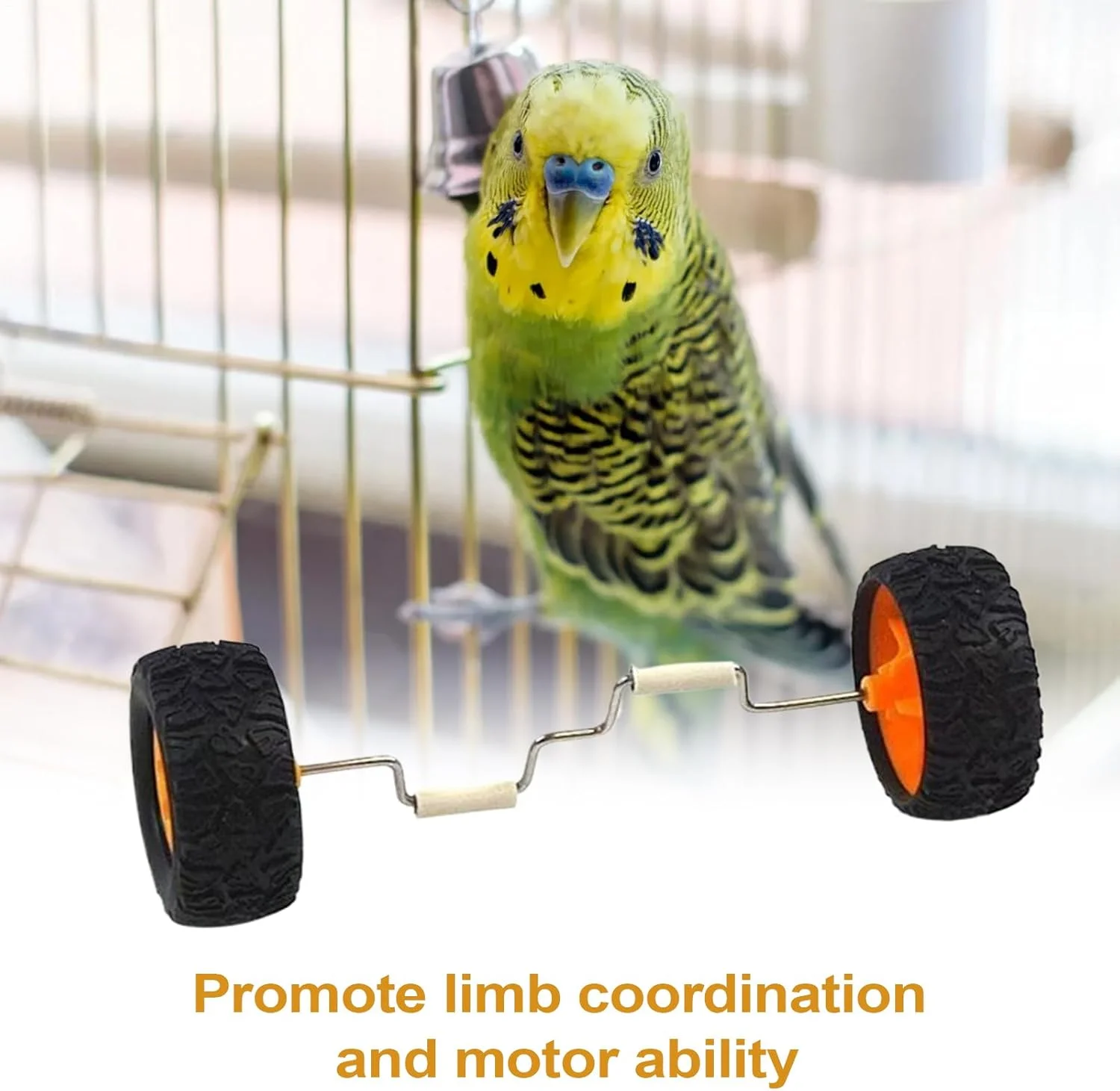 اسباب بازی آموزشی پرنده، اسباب بازی دوچرخه تعادلی غلتک ردیفی تعاملی | لوازم ورزشی قفس وسیله نقلیه تعادلی کوکاتیل ها برای میز شیشه ای چوبی فروشگاه حیوانات خانگی اسباب بازی آموزشی پرنده، اسباب بازی دوچرخه تعادلی غلتک ردیفی تعاملی | لوازم ورزشی قفس وسیله نقلیه تعادلی کوکاتیل ها برای میز شیشه ای چوبی فروشگاه حیوانات خانگی