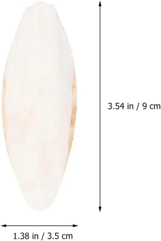 استخوان طبیعی کف دریا XNIUIU برای حیوانات خانگی، استخوان کلسیم برای پرندگان، خزندگان، لاک پشت ها، حلزون ها و حیوانات کوچک (20 عدد)