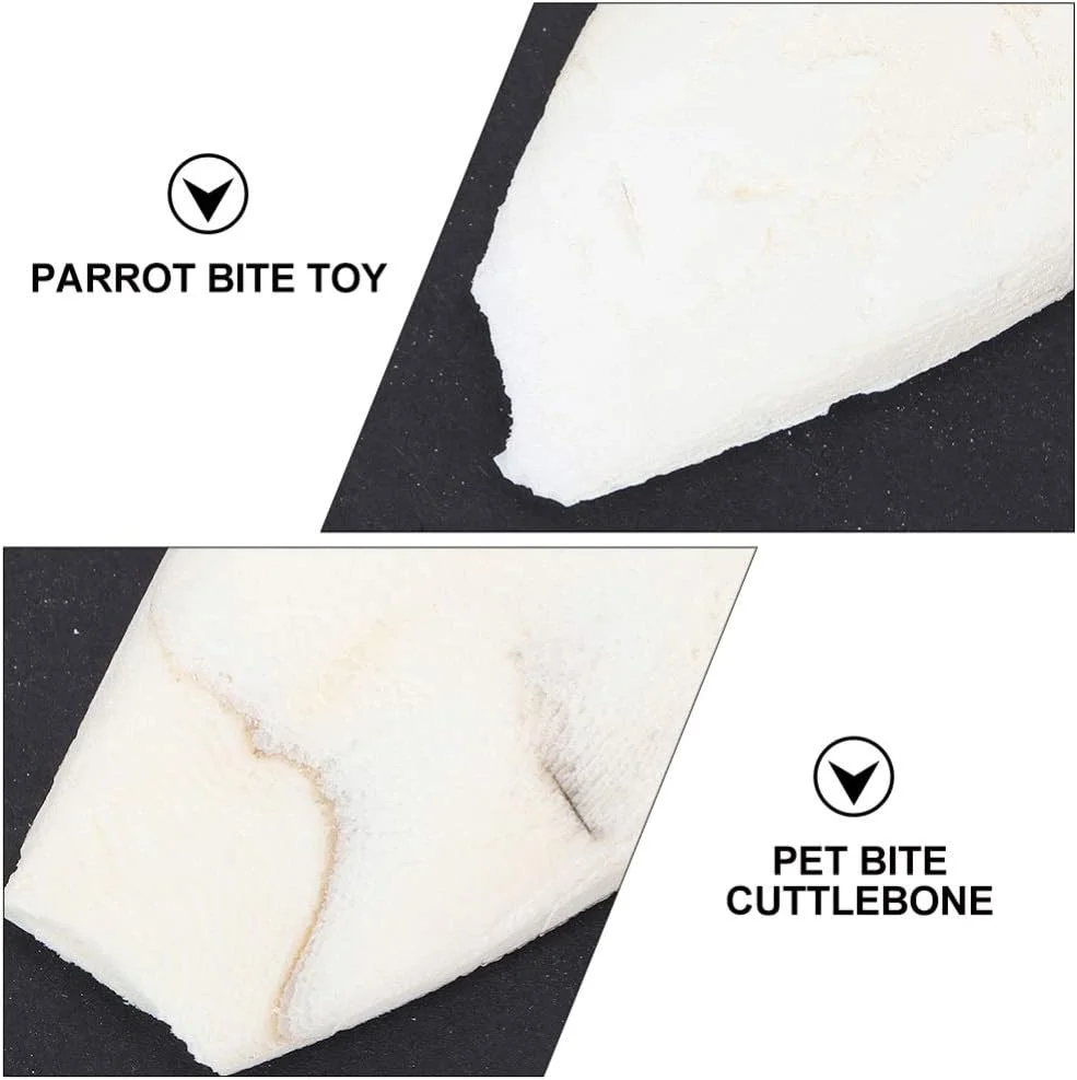 استخوان طبیعی کف دریا XNIUIU برای حیوانات خانگی، استخوان کلسیم برای پرندگان، خزندگان، لاک پشت ها، حلزون ها و حیوانات کوچک (20 عدد)